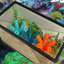 Aquarium Coral Frag Stand Branch | Lattice Coral Structure Branch Design with 5 Frag Mounts - Your Pet Connection