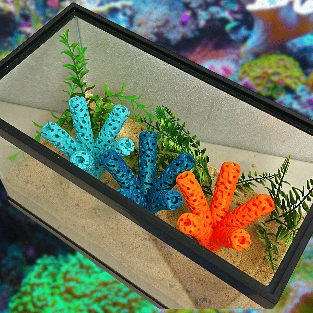 Aquarium Coral Frag Stand Branch | Lattice Coral Structure Branch Design with 5 Frag Mounts - Your Pet Connection