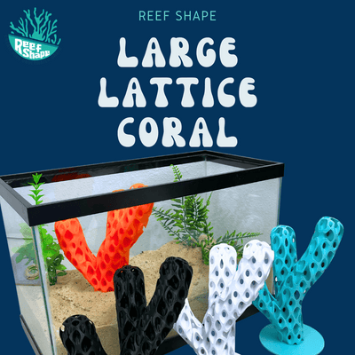 Aquatic Branch Haven – Lattice Coral Reef Branch Decor for Fish, Shrimp, & Aquatic Pets - Your Pet Connection