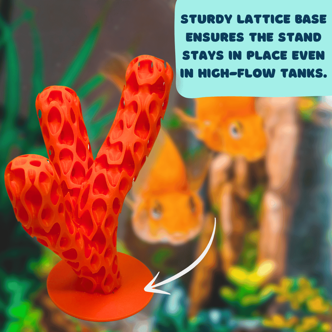 Aquatic Branch Haven – Lattice Coral Reef Branch Decor for Fish, Shrimp, & Aquatic Pets - Your Pet Connection