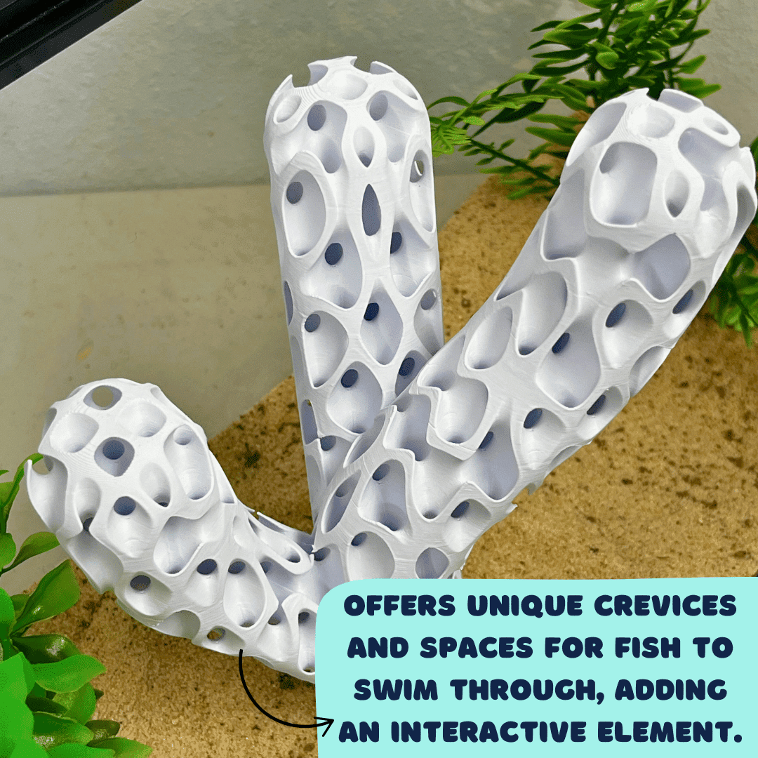 Aquatic Branch Haven – Lattice Coral Reef Branch Decor for Fish, Shrimp, & Aquatic Pets - Your Pet Connection