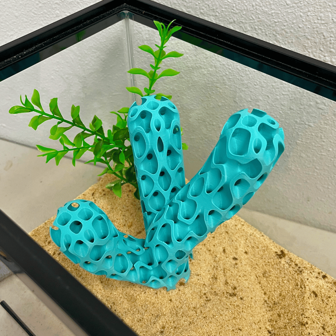 Aquatic Branch Haven – Lattice Coral Reef Branch Decor for Fish, Shrimp, & Aquatic Pets - Your Pet Connection