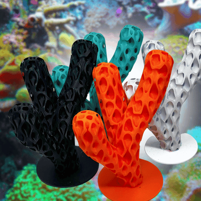 Aquatic Branch Haven – Lattice Coral Reef Branch Decor for Fish, Shrimp, & Aquatic Pets - Your Pet Connection