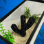 Aquatic Branch Haven – Lattice Coral Reef Branch Decor for Fish, Shrimp, & Aquatic Pets - Your Pet Connection