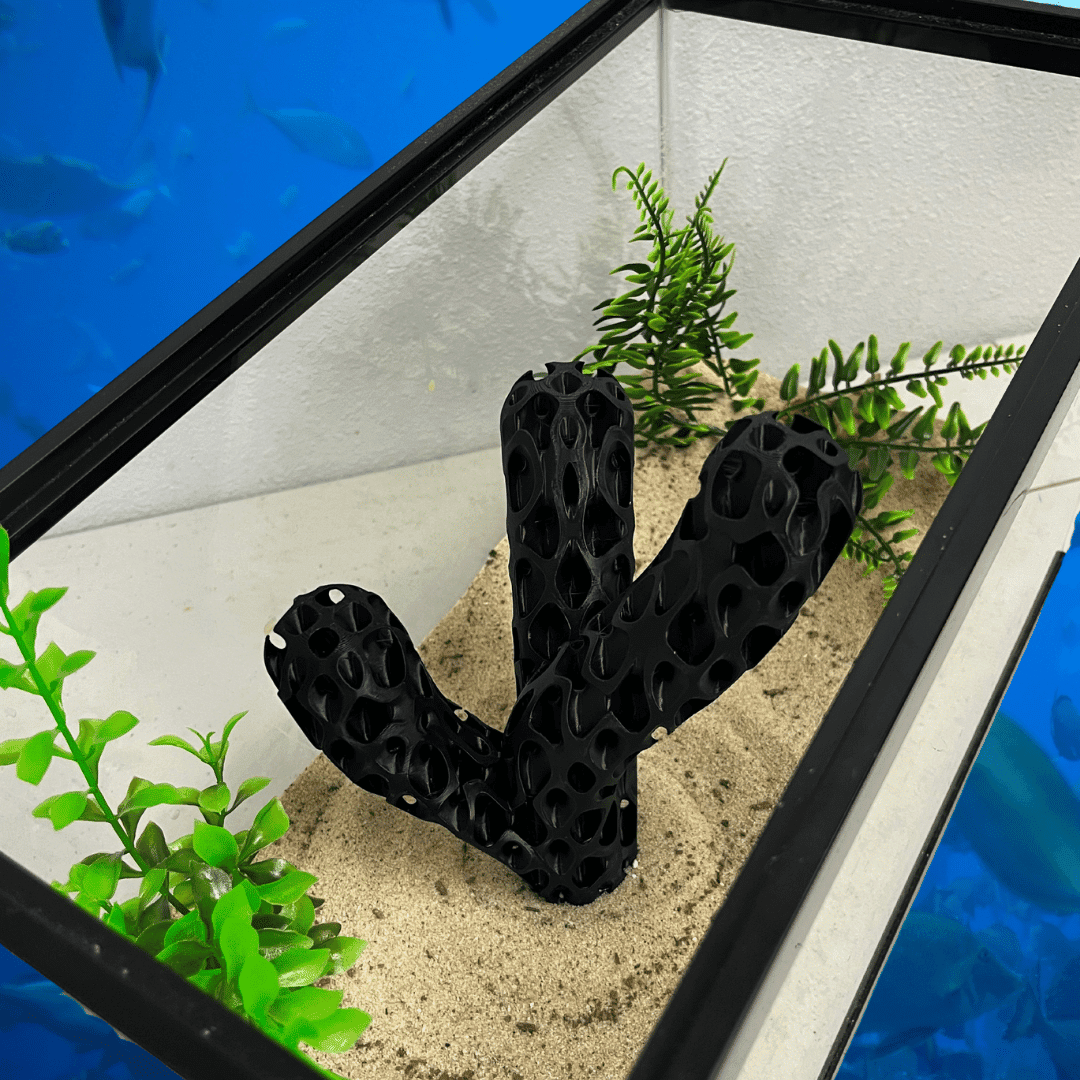 Aquatic Branch Haven – Lattice Coral Reef Branch Decor for Fish, Shrimp, & Aquatic Pets - Your Pet Connection