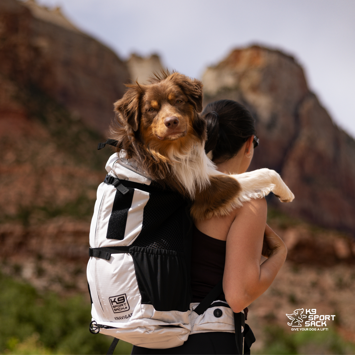 Knavigate | Advanced Dog Carrier with Internal Frame & Hip Belt - Your Pet Connection
