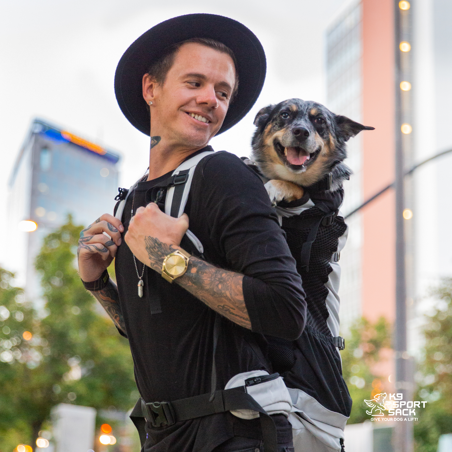 Knavigate | Advanced Dog Carrier with Internal Frame & Hip Belt - Your Pet Connection