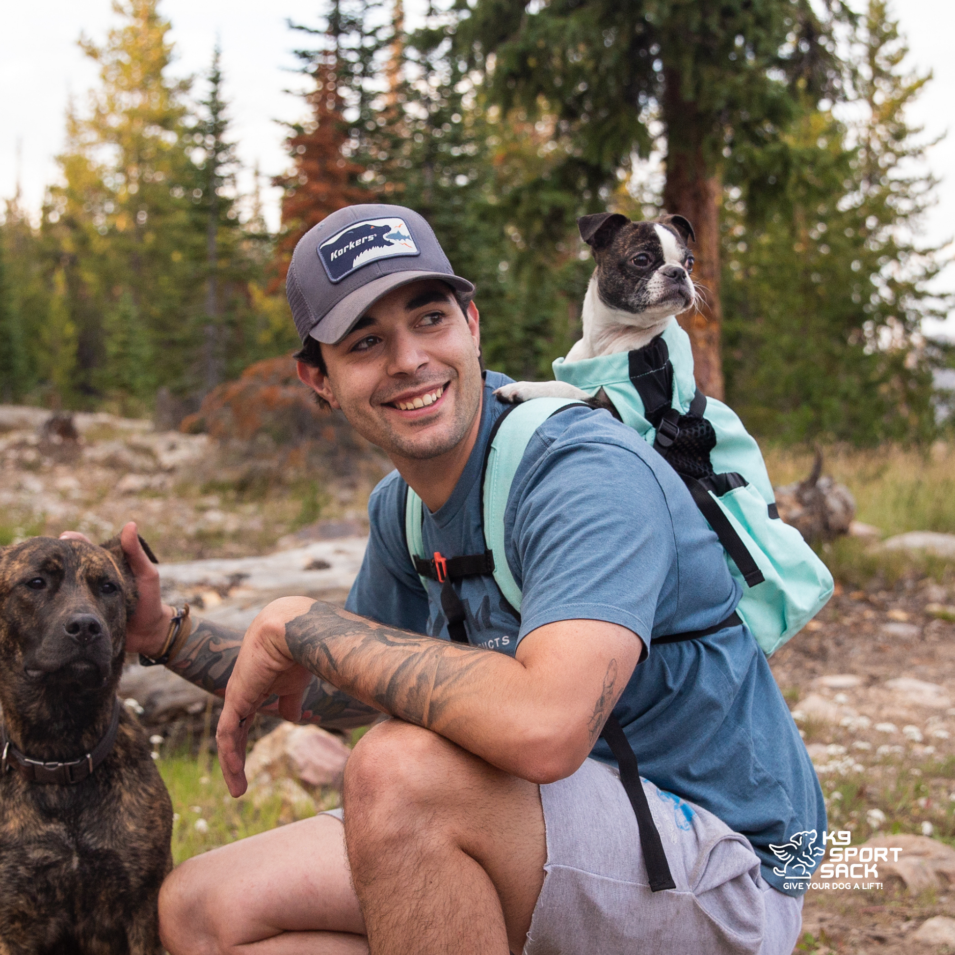 Air 2 | The Original Backpack Dog Carrier - Your Pet Connection