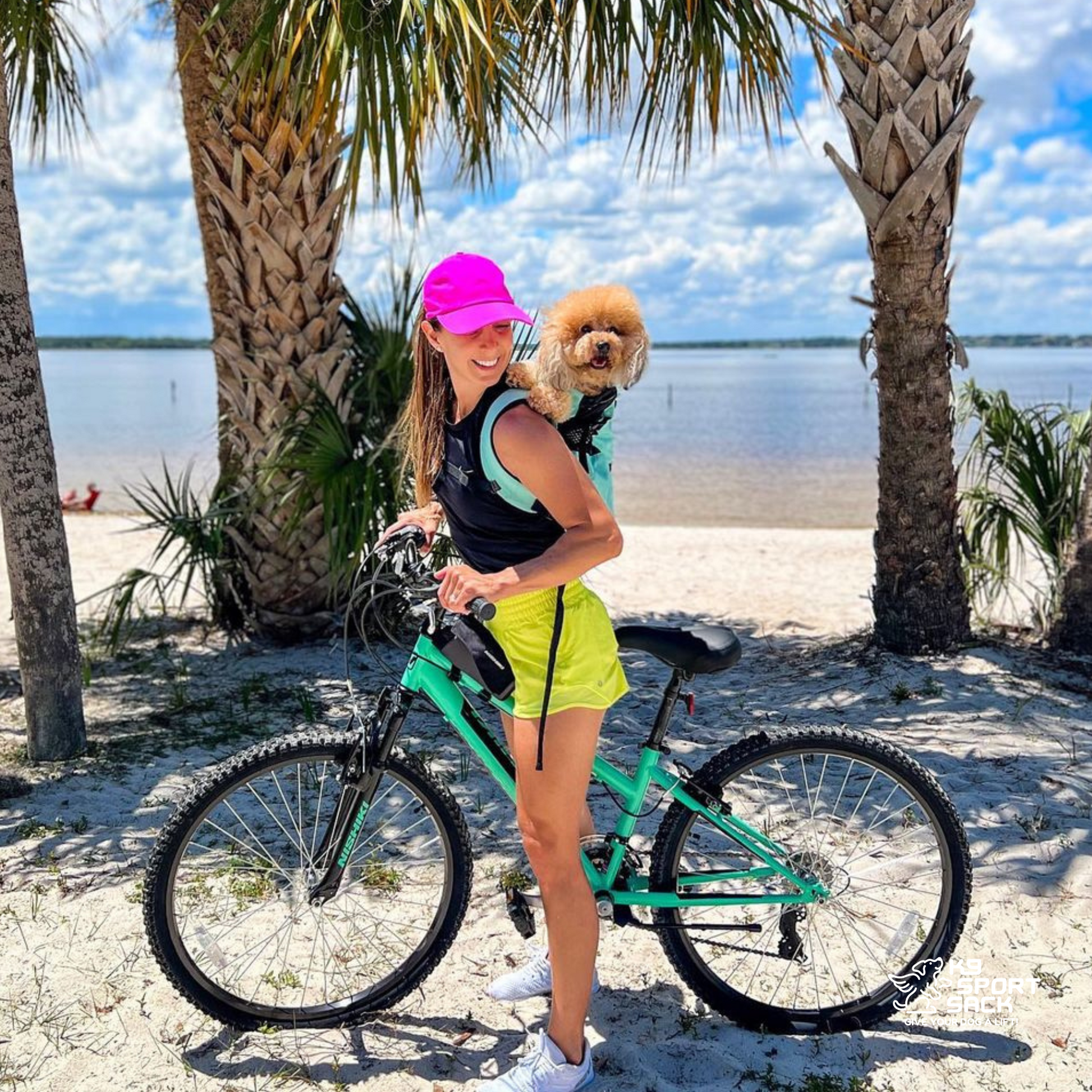 Air 2 | The Original Backpack Dog Carrier - Your Pet Connection