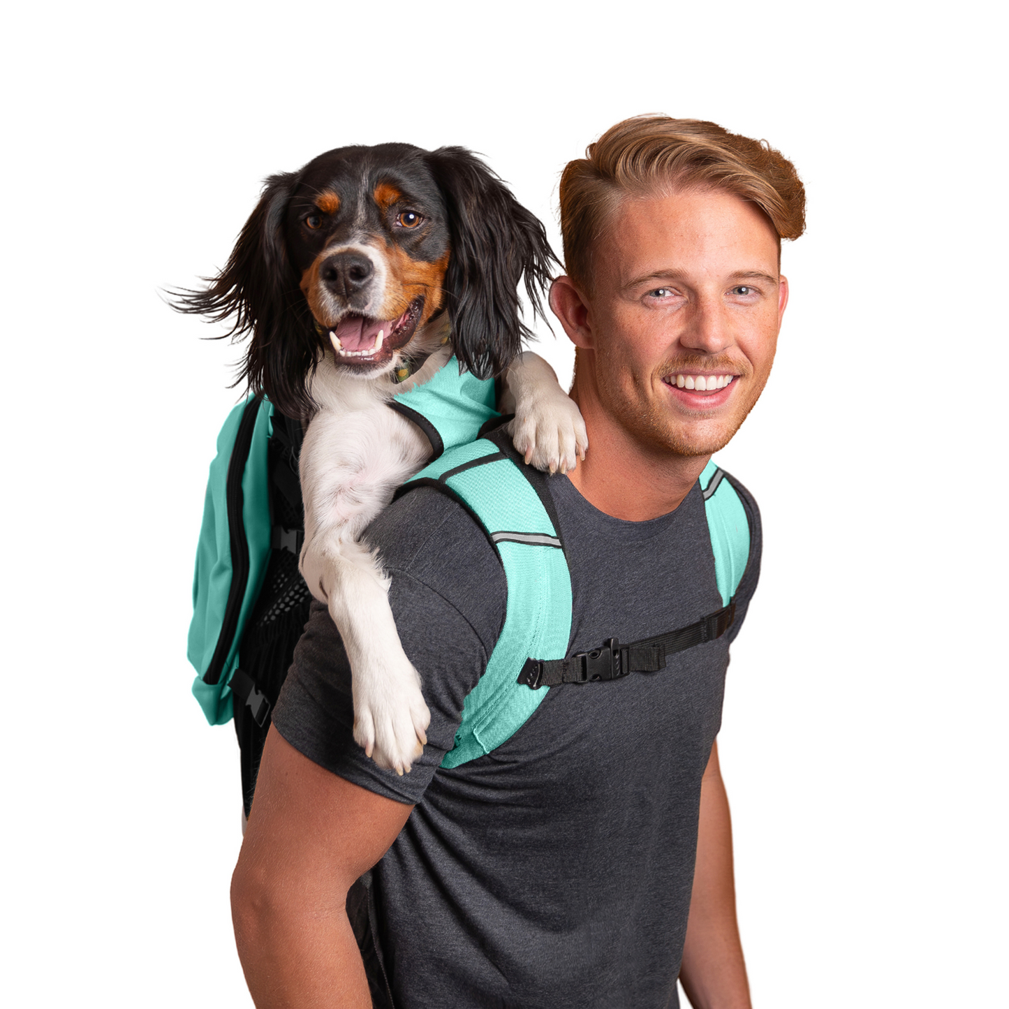 Plus 2 | Dog Carrier with Removable Storage - Your Pet Connection