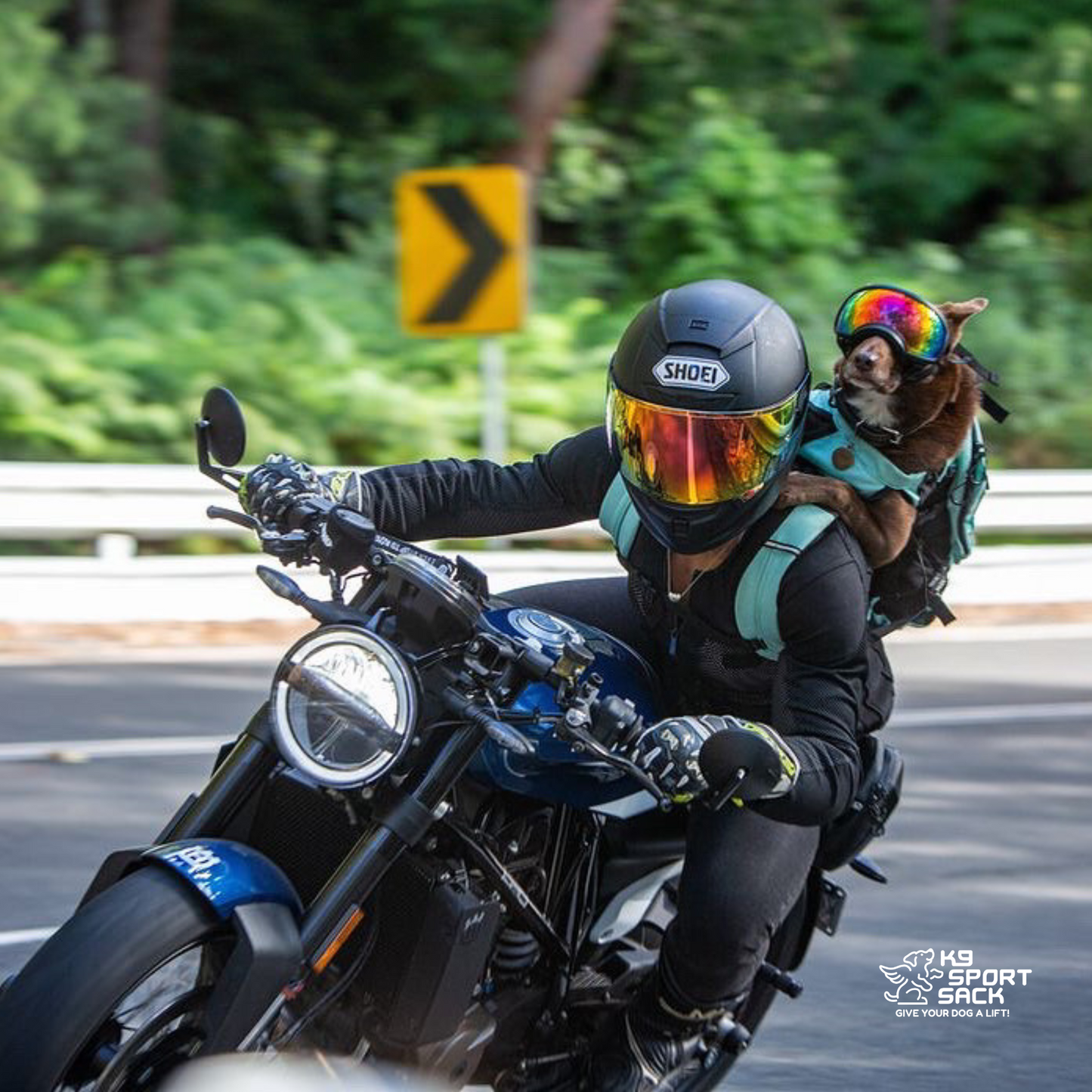 Plus 2 | Dog Carrier with Removable Storage - Your Pet Connection