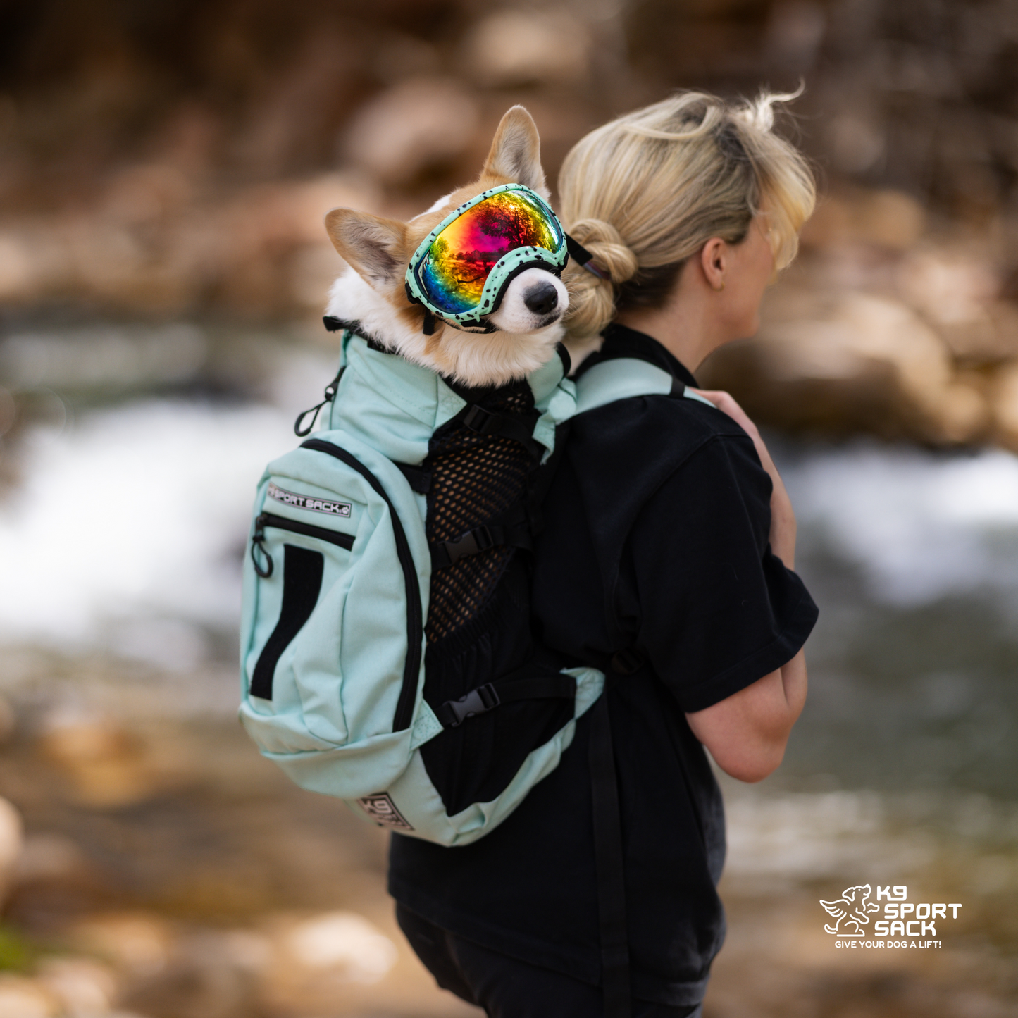 Plus 2 | Dog Carrier with Removable Storage - Your Pet Connection