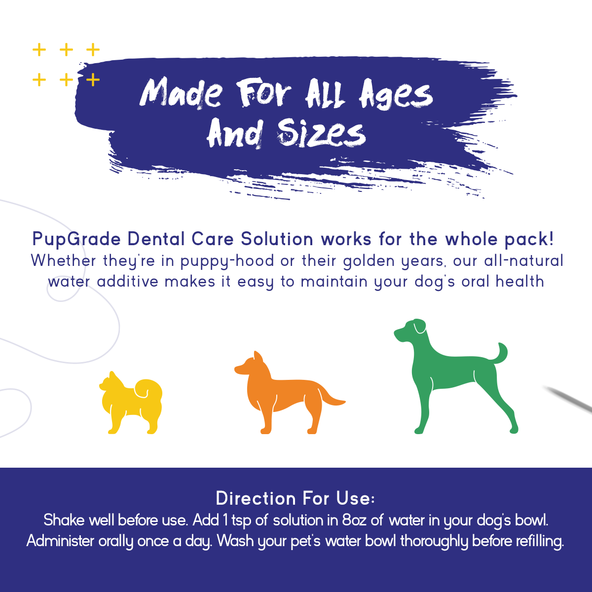 Dental Care Solution