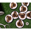 Pug Face Circle Patch - Your Pet Connection