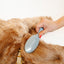 Gentle Detangling Brush - Your Pet Connection