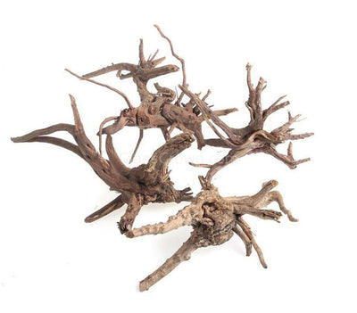 Spiderwood Driftwood Small (4-6") - Your Pet Connection
