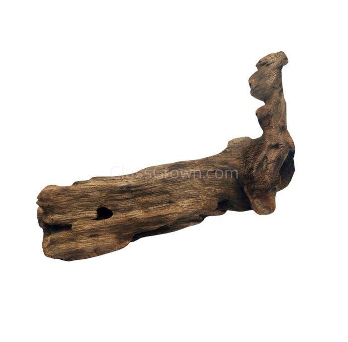 Mopane Congo Driftwood Small (6-10") - Your Pet Connection