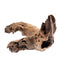 Mopane Congo Driftwood Small (6-10") - Your Pet Connection