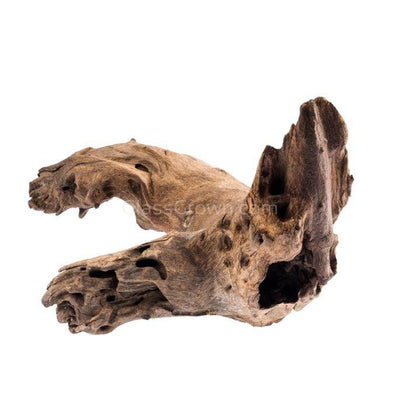 Mopane Congo Driftwood Small (6-10") - Your Pet Connection