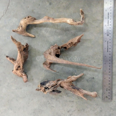 Pacific Driftwood Small (3-6") - Your Pet Connection