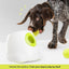 Maxi Hyper Fetch Automatic Ball Launcher For Large Dogs