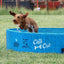 Foldable Dog Swimming Pool