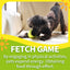 Interactive Fetch-N-Treat Dog Toy