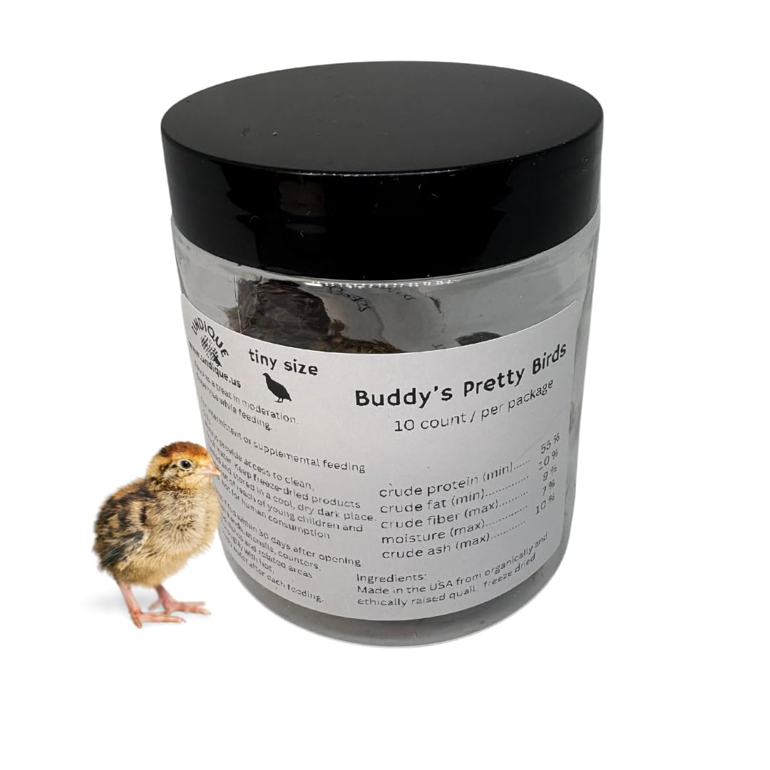 Quail Whole Chick Treats, 10 Count - Tiny, dehydrated Small Premium cat and Dog Treat - Your Pet Connection