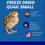 Whole Quail for Carnivore Pets - Premium Quality Natural Pet Treats Quail - Natural Prey Feeding Quail - Freeze-Dried for Essential Nutrients and Enzymes Small Size 5 Count - Your Pet Connection
