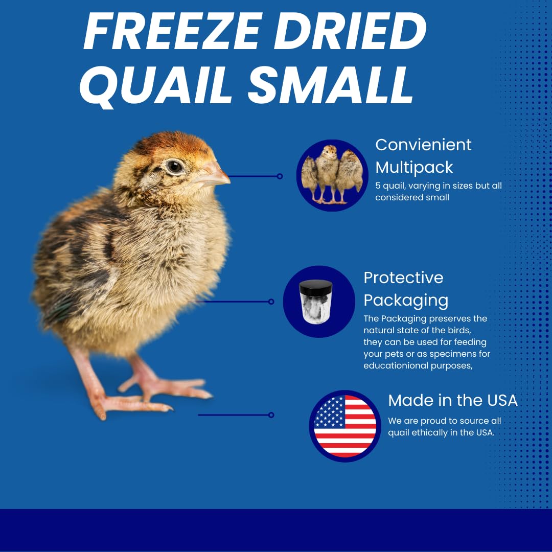 Whole Quail for Carnivore Pets - Premium Quality Natural Pet Treats Quail - Natural Prey Feeding Quail - Freeze-Dried for Essential Nutrients and Enzymes Small Size 5 Count - Your Pet Connection