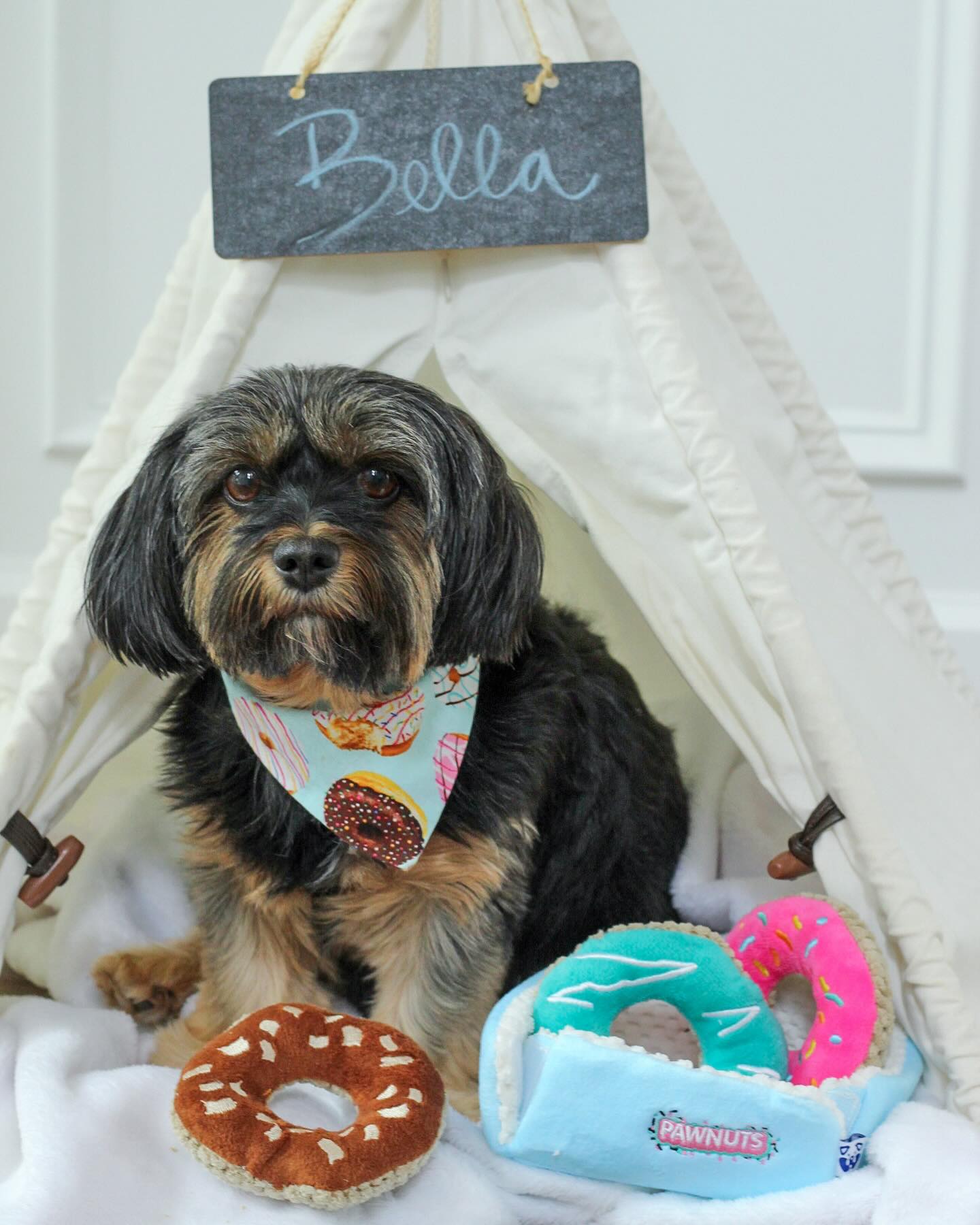 DONUTS INTERACTIVE DOG TOY - Your Pet Connection