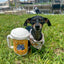 PAWTY BEER PLUSH DOG TOY - Your Pet Connection