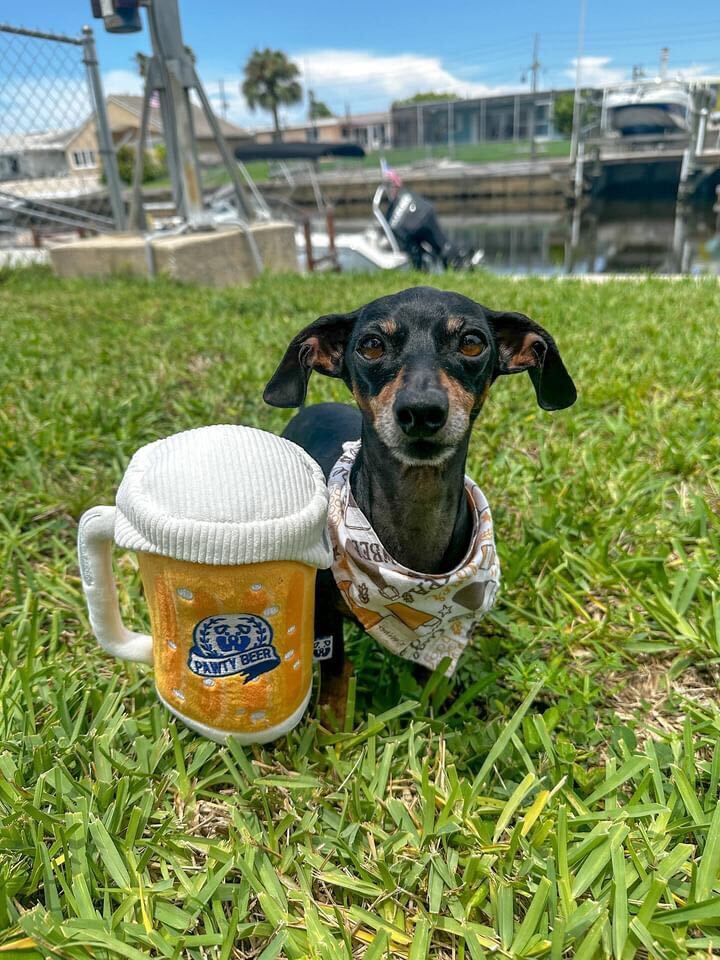 PAWTY BEER PLUSH DOG TOY - Your Pet Connection