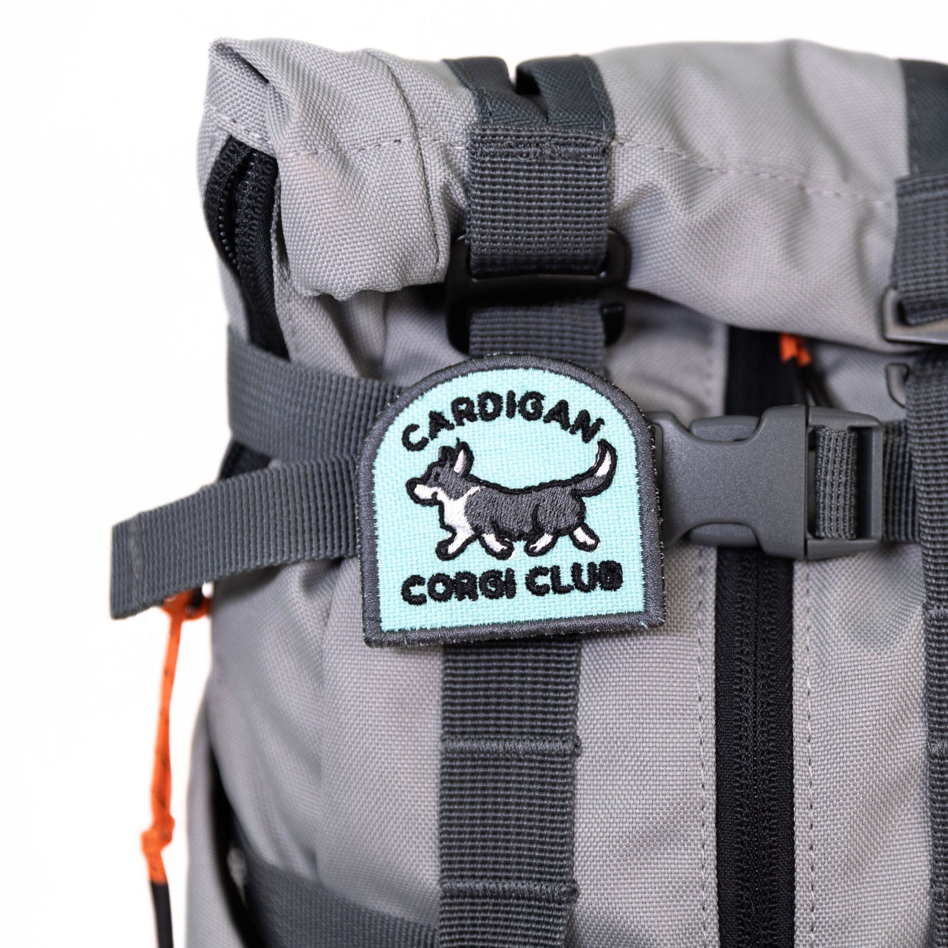 Cardigan Corgi Club Arch Patch - Your Pet Connection