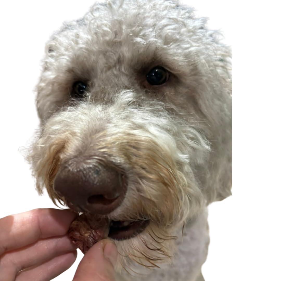 Freeze-Dried Duck Hearts, 3 oz, Single Ingredient Dog & Cat Treats, USA Made - Your Pet Connection