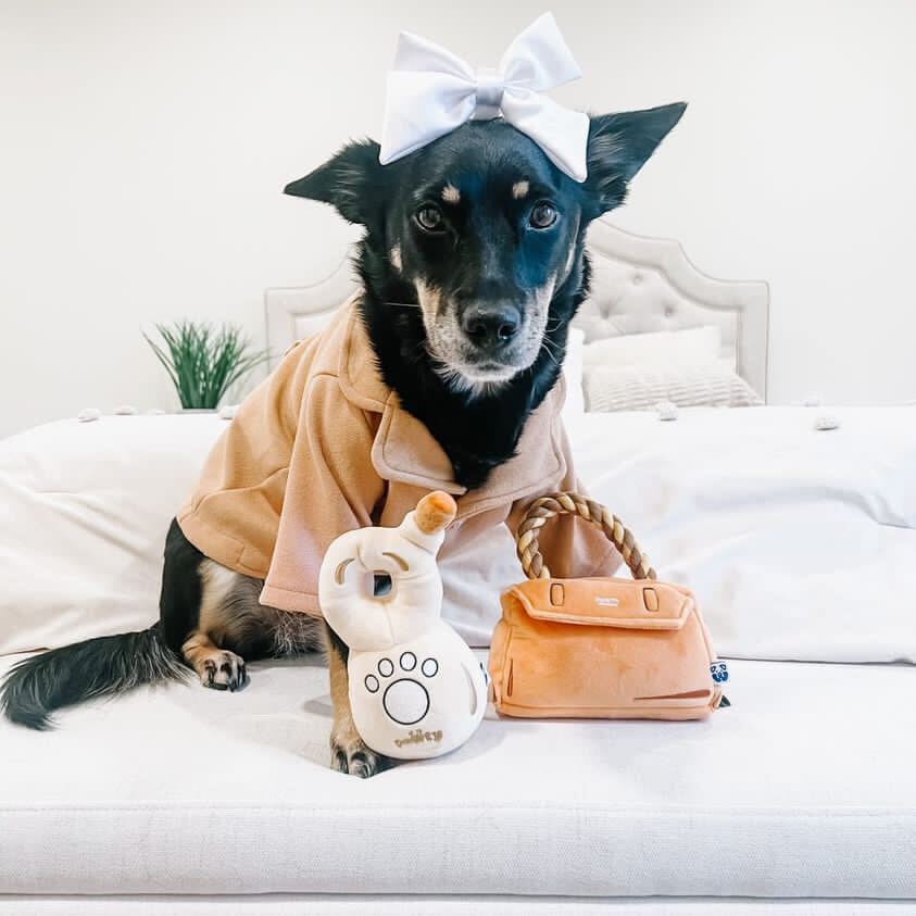 888 TEQUILA - Your Pet Connection