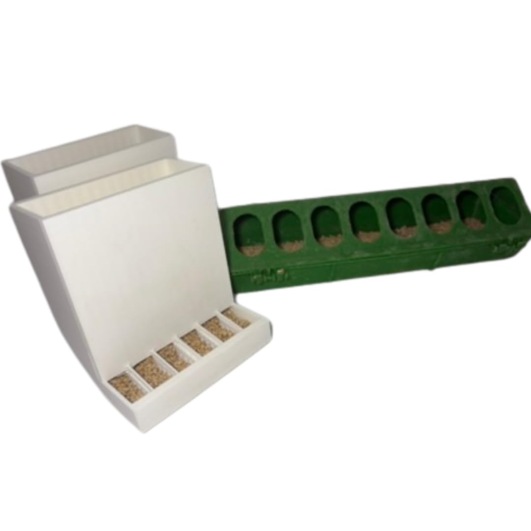 Button Quail Feeders (2), Adjustable Spill-Resistant Design Made in USA - Your Pet Connection