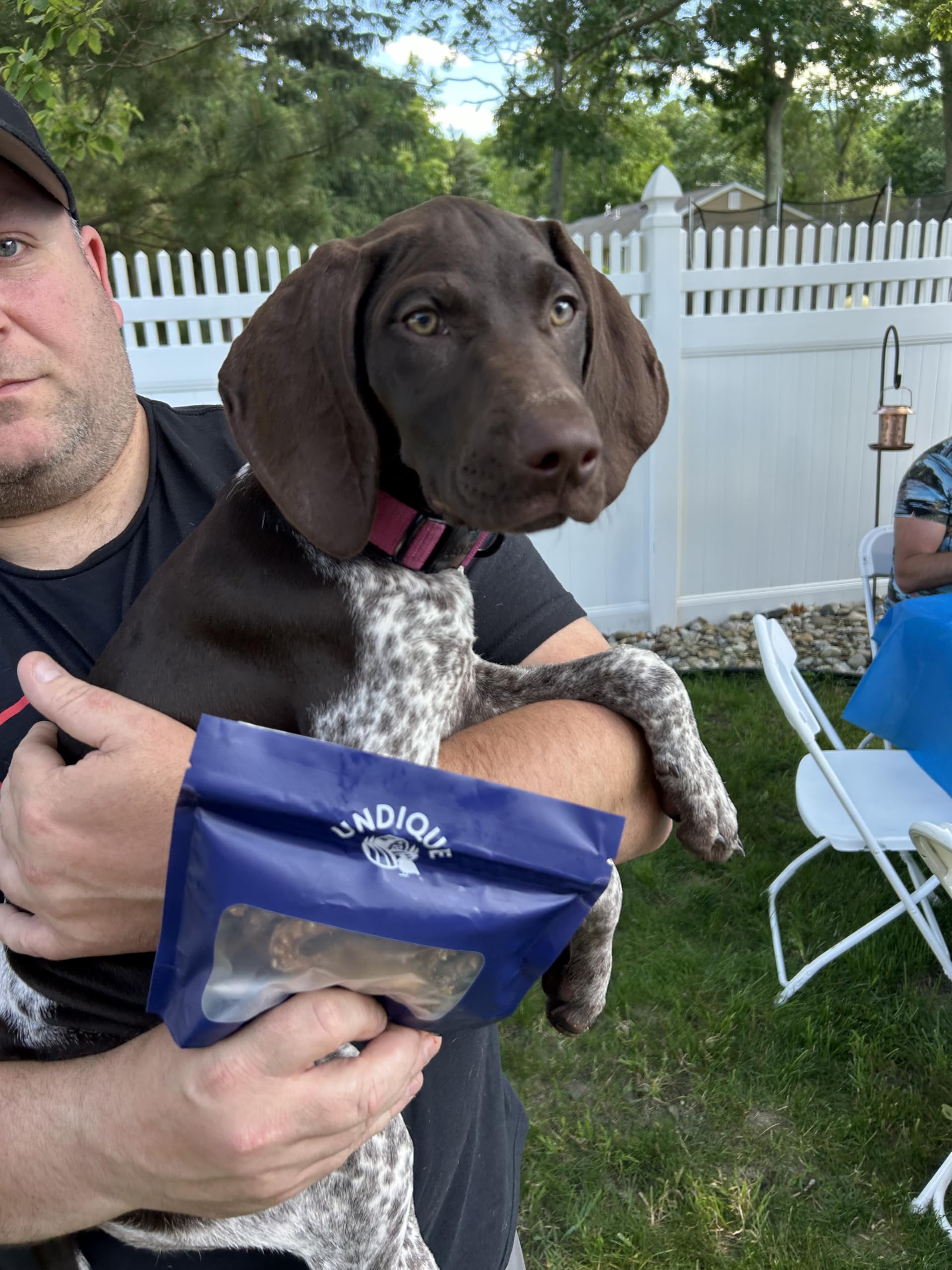 Organically Fed Quail Crunch Sticks and Legs - Healthy and Delicious Treat for Pets - Your Pet Connection