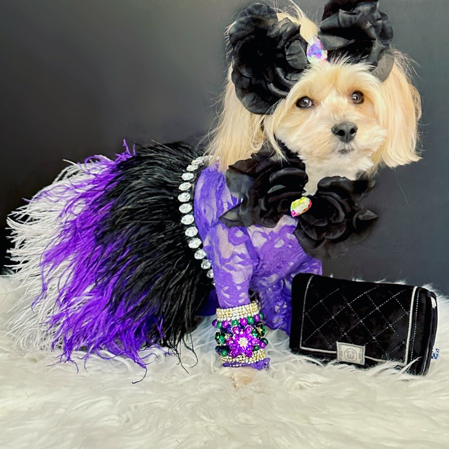 CHEWNEL PLUSH DOG TOY - Your Pet Connection