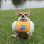 PAWTY BEER PLUSH DOG TOY - Your Pet Connection