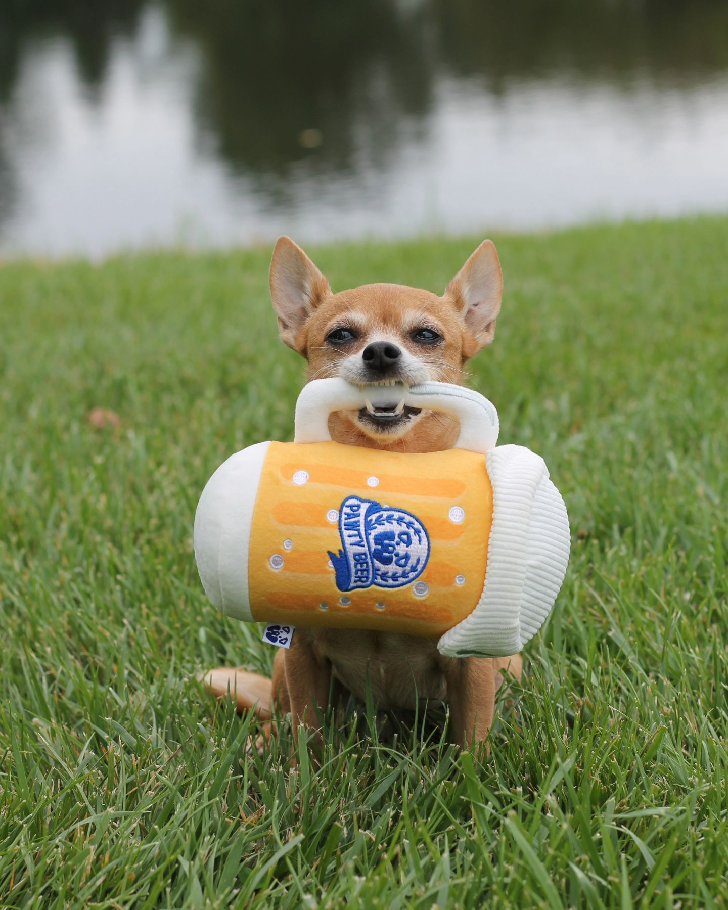 PAWTY BEER PLUSH DOG TOY - Your Pet Connection