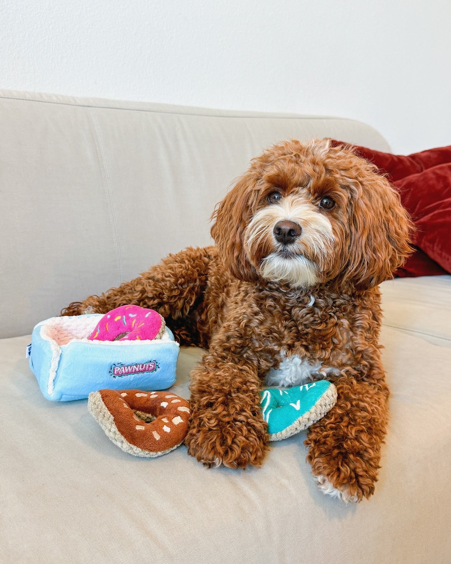 DONUTS INTERACTIVE DOG TOY - Your Pet Connection