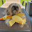 DUCK NECK INTERACTIVE DOG TOY - Your Pet Connection