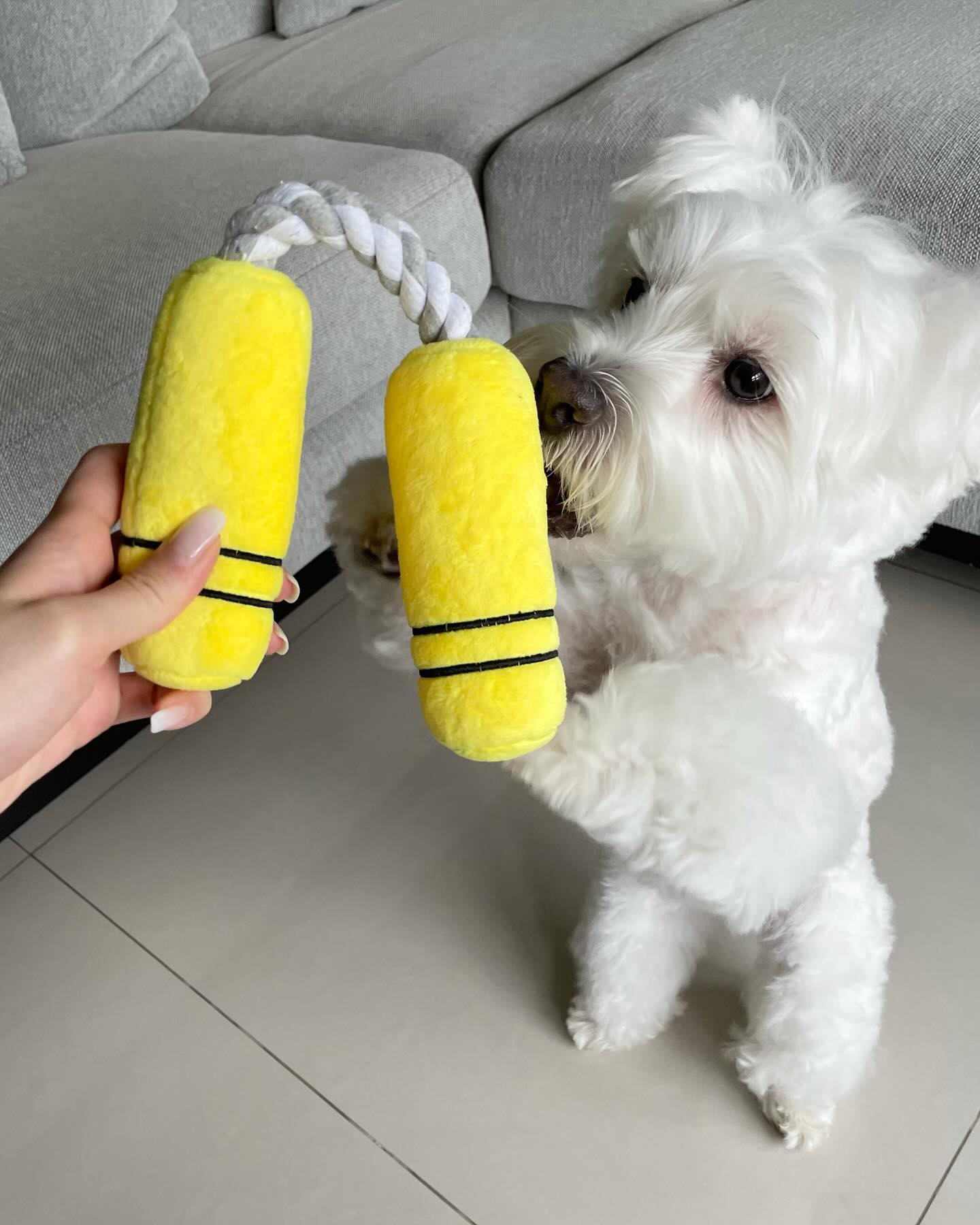 NUNCHUCKS TUG ROPE INTERACTIVE TOY - Your Pet Connection
