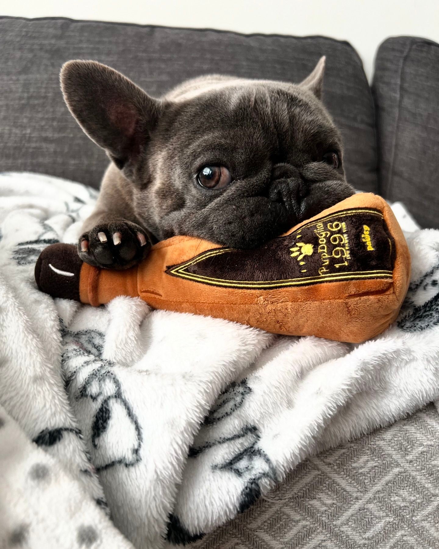 1996 TEQUILA PLUSH DOG TOY - Your Pet Connection