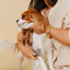 The Detangler - Your Pet Connection