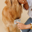 Pup Parent Essentials - Your Pet Connection