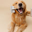 Everyday Slicker Brush - Your Pet Connection