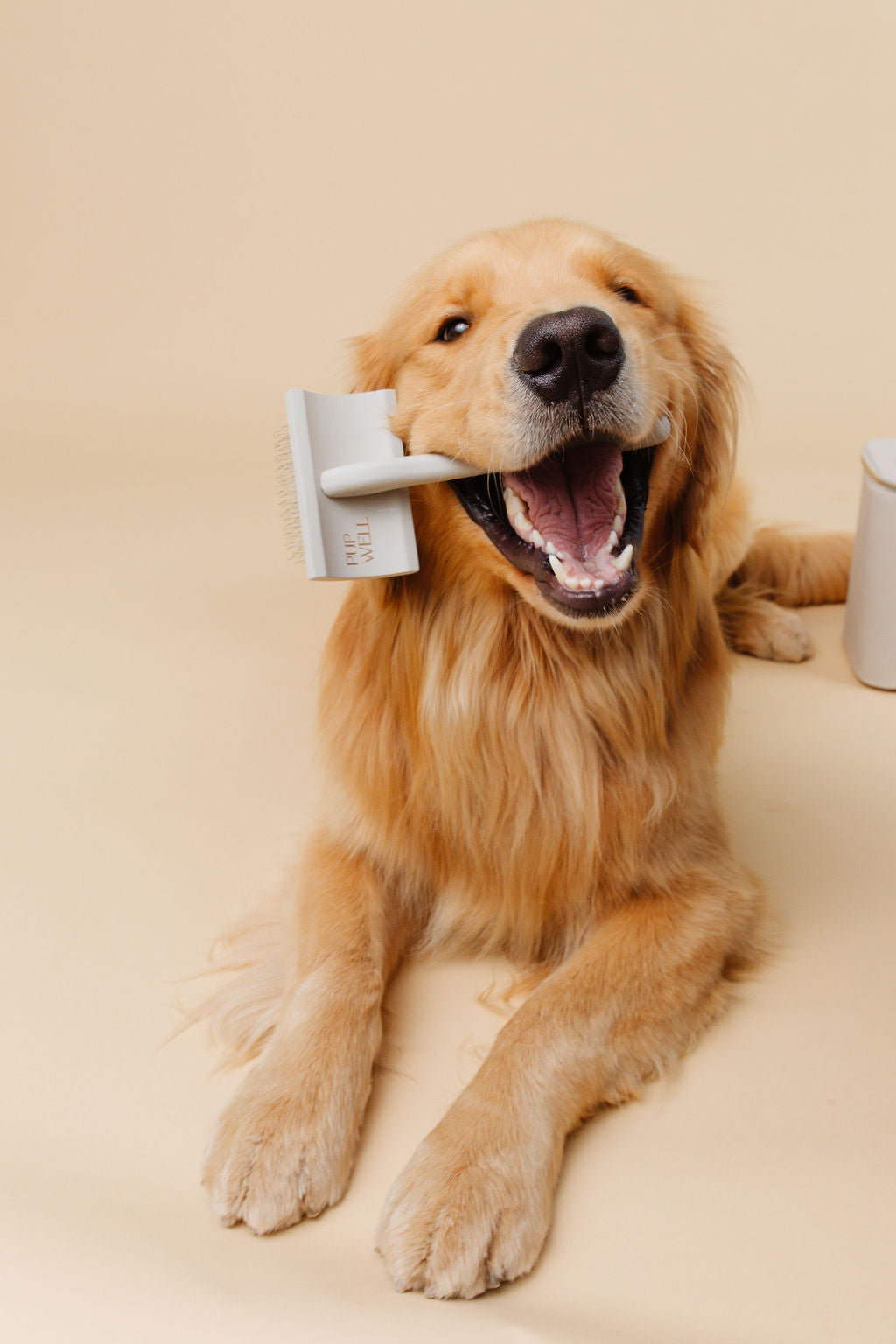 Everyday Slicker Brush - Your Pet Connection