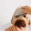 Detailer Comb - Your Pet Connection